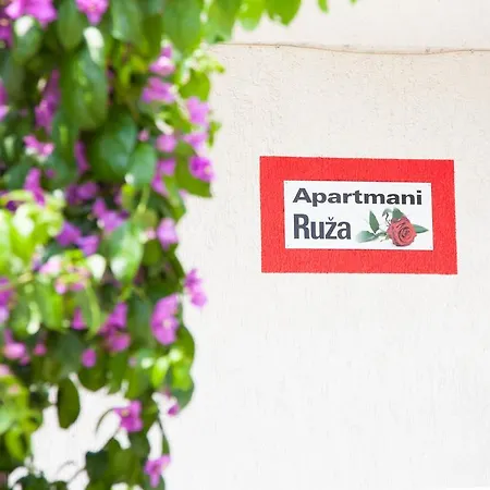 Ruza