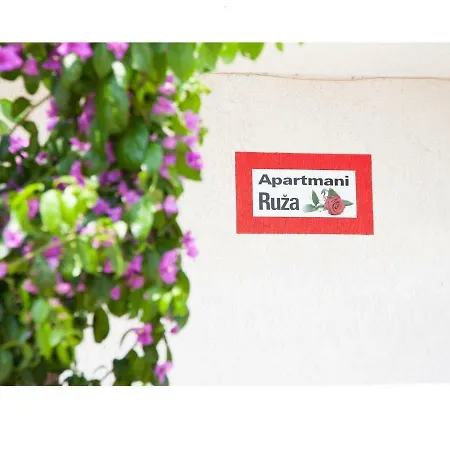 Ruza Vodice
